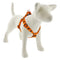 Lupine MicroBatch Step In Dog Harness 1" x 19"-28" Big Game - Poudre Pet & Feed Supply